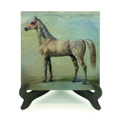 At Çizimi Printed Wooden Tabletop