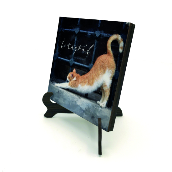 İstanbul Kedisi  Printed Wooden Tabletop