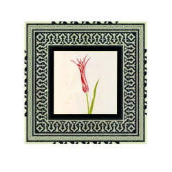 Osmanlı Lalesi Çizimi Baskılı Ahşap Tablo