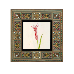 Osmanlı Lalesi Çizimi Baskılı Ahşap Tablo