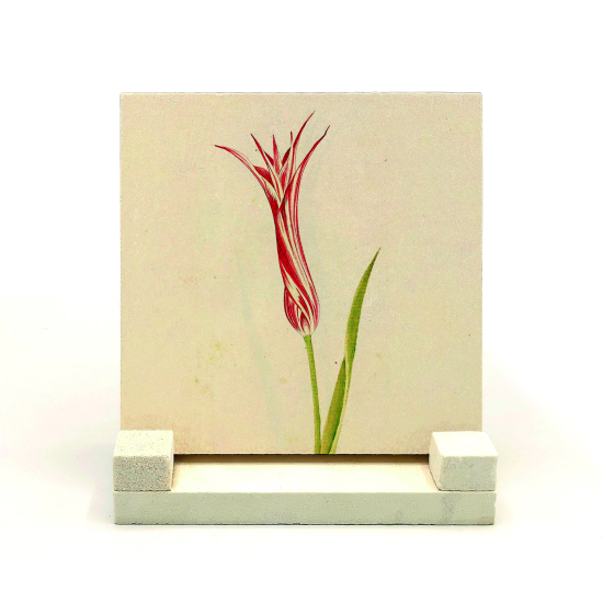 Osmanlı Lalesi Çizimi Printed Natural Stone Tabletop