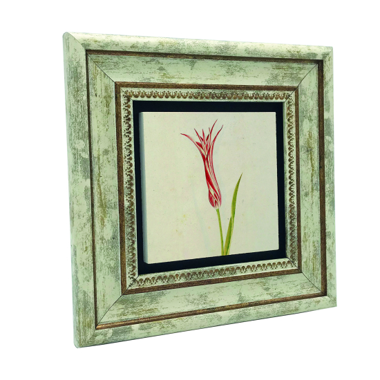 Osmanlı Lalesi Çizimi Printed Natural Stone with Frame